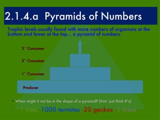 ESS Topic 2.1 - Structures | PPT