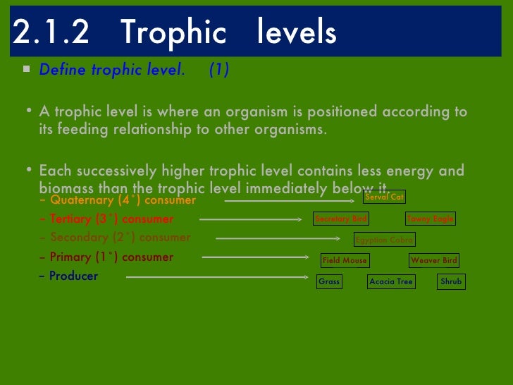 ESS Topic 2.1 Structures