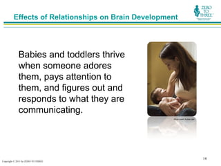 Effects of Relationships on Brain Development




             Babies and toddlers thrive
             when someone adores
             them, pays attention to
             them, and figures out and
             responds to what they are
             communicating.
                                                    Photo credit: Rubber Ball




                                                                                14
Copyright © 2011 by ZERO TO THREE
 
