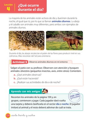 Lección       ¿Qué ocurre
  4           durante el día?

   La mayoría de los animales están activos de día y duermen durante la
   noche, al igual que tú, por lo que se llaman animales diurnos. La abeja
   y el caballo son animales muy diferentes, pero ambos son ejemplos de
   animales diurnos.




    Durante el día, las abejas recolectan el polen de las flores para producir miel en sus
    colmenas. Ellas necesitan del Sol para orientarse.

        Actividad 5
        Actividad 2 Observo animales diurnos en mi entorno

       Salgan al patio con su profesor. Observen con atención y busquen
       animales silvestres (pequeños insectos, aves, entre otros). Comenten.
          a. ¿Qué animales observas?
          b. ¿Qué están haciendo?
          c. ¿Realizan sus actividades de día o de noche?


       Aprendo con mis amigos

       Recorten los animales de la página 159 y, en
       grupos, comiencen a jugar. Cada jugador dará vuelta
       una tarjeta y deberá clasificarla en el sector día o noche. El jugador
       imitará al animal y el resto deberá adivinar de cuál se trata.


 134   _ciento _treinta y _cuatro
 