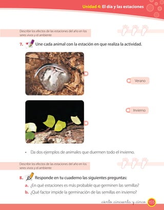 Unidad 4: El día y las estaciones




Describir los efectos de las estaciones del año en los
seres vivos y el ambiente

7.          Une cada animal con la estación en que realiza la actividad.




                                                                               Verano




                                                                              Invierno




     • Da dos ejemplos de animales que duermen todo el invierno.

Describir los efectos de las estaciones del año en los
seres vivos y el ambiente


8.          Responde en tu cuaderno las siguientes preguntas:
     a. ¿En qué estaciones es más probable que germinen las semillas?
     b. ¿Qué factor impide la germinación de las semillas en invierno?

                                                            _ciento _cincuenta y _cinco 155
 