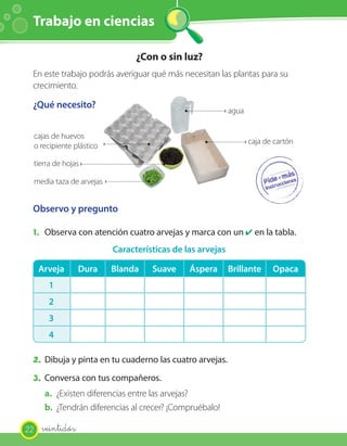 Trabajo en ciencias

                                   ¿Con o sin luz?
 En este trabajo podrás averiguar qué más necesitan las plantas para su
 crecimiento.

 ¿Qué necesito?
                                                              agua


     cajas de huevos
                                                                     caja de cartón
     o recipiente plástico

     tierra de hojas

     media taza de arvejas


 Observo y pregunto

 1. Observa con atención cuatro arvejas y marca con un ✔ en la tabla.
                             Características de las arvejas

      Arveja       Dura      Blanda    Suave     Áspera       Brillante     Opaca
         1
         2
         3
         4

 2. Dibuja y pinta en tu cuaderno las cuatro arvejas.
 3. Conversa con tus compañeros.
        a. ¿Existen diferencias entre las arvejas?
        b. ¿Tendrán diferencias al crecer? ¡Compruébalo!

22     veintidós
 