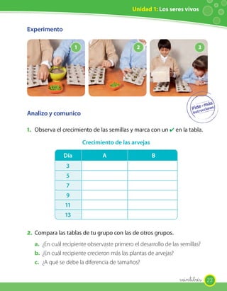 Unidad 1: Los seres vivos


Experimento

                     1                         2                          3




Analizo y comunico

1. Observa el crecimiento de las semillas y marca con un ✔ en la tabla.
                         Crecimiento de las arvejas

               Día              A                     B
                3
                5
                7
                9
                11
                13

2. Compara las tablas de tu grupo con las de otros grupos.
   a. ¿En cuál recipiente observaste primero el desarrollo de las semillas?
   b. ¿En cuál recipiente crecieron más las plantas de arvejas?
   c. ¿A qué se debe la diferencia de tamaños?

                                                                 veintitrés 23
 