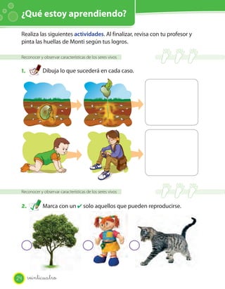 ¿Qué estoy aprendiendo?

 Realiza las siguientes actividades. Al finalizar, revisa con tu profesor y
 pinta las huellas de Monti según tus logros.

 Reconocer y observar características de los seres vivos


 1.          Dibuja lo que sucederá en cada caso.




 Reconocer y observar características de los seres vivos


 2.          Marca con un ✔ solo aquellos que pueden reproducirse.




24    veinticuatro
 