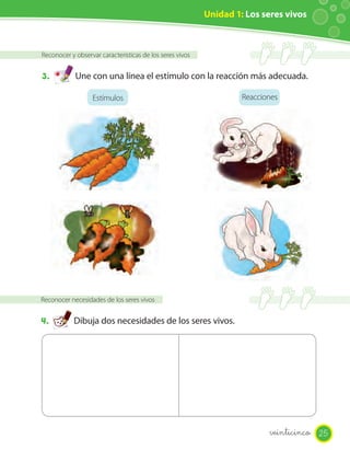 Unidad 1: Los seres vivos



Reconocer y observar características de los seres vivos


3.          Une con una línea el estímulo con la reacción más adecuada.

                  Estímulos                                        Reacciones




Reconocer necesidades de los seres vivos


4.         Dibuja dos necesidades de los seres vivos.




                                                                          veinticinco 25
 