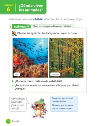 Lección         ¿Dónde viven
 6              los animales?

   Los animales viven en su hábitat. Ahí encuentran su alimento y refugio.

        Actividad 29
         Actividad        Observo y comparo diferentes hábitats


            Observa los siguientes hábitats y conversa con tu curso.




          Mar                               Bosque

       1. ¿Qué observas en cada uno de los hábitats?
       2. ¿Podrán vivir los mismos animales en el bosque y en el mar?
          ¿Por qué?


       Adivina buen                         Fuego no soy, pero mi
       adivinador:                          nombre lo dice.
       ¿Cuál es este                        Chalecos y pompones
       animal?                              con mi lana se visten.




  30   _treinta
 