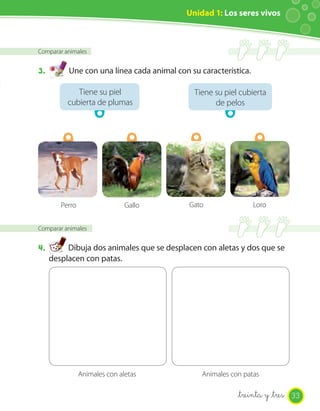 Unidad 1: Los seres vivos



Comparar animales


3.        Une con una línea cada animal con su característica.

             Tiene su piel                   Tiene su piel cubierta
          cubierta de plumas                       de pelos




        Perro                  Gallo        Gato                 Loro


Comparar animales


4.        Dibuja dos animales que se desplacen con aletas y dos que se
     desplacen con patas.




                Animales con aletas             Animales con patas

                                                           _treinta y _tres 33
 