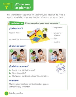 Lección       ¿Cómo son
 7            las plantas?

   Has aprendido que las plantas son seres vivos, que necesitan del suelo, el
   agua, el aire y la luz del sol para vivir. Pero ¿cómo son estos seres vivos?


        Actividad 11
        Actividad 2         Observo y modelo las partes de una planta


       ¿Qué necesito?                                           pegamento

       hojas de diario                                          una planta
                                                                pequeña
                                                                tijera
       papeles lustre
                                                                cartulina

       ¿Qué debo hacer?

          1                       2                        3




       ¿Qué debo observar?
       a. ¿Cómo es la planta al tocarla?
       b. ¿Tiene algún olor?
       c. ¿Qué partes puedes identificar? Menciona tres.

       Comunico
       Muestren su modelo de planta a los otros grupos.
       Compárenlos y comenten.


  34   _treinta y _cuatro
 