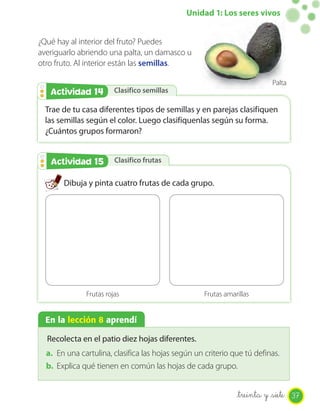 Unidad 1: Los seres vivos


¿Qué hay al interior del fruto? Puedes
averiguarlo abriendo una palta, un damasco u
otro fruto. Al interior están las semillas.

                                                                          Palta
   Actividad 14
   Actividad 2          Clasifico semillas

  Trae de tu casa diferentes tipos de semillas y en parejas clasifiquen
  las semillas según el color. Luego clasifíquenlas según su forma.
  ¿Cuántos grupos formaron?


   Actividad 15
   Actividad 2          Clasifico frutas


       Dibuja y pinta cuatro frutas de cada grupo.




              Frutas rojas                          Frutas amarillas


  En la lección 8 aprendí

  Recolecta en el patio diez hojas diferentes.
  a. En una cartulina, clasifica las hojas según un criterio que tú definas.
  b. Explica qué tienen en común las hojas de cada grupo.


                                                               _treinta y _siete 37
 