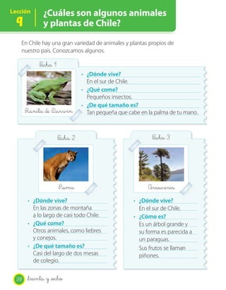Lección       ¿Cuáles son algunos animales
  9           y plantas de Chile?
   En Chile hay una gran variedad de animales y plantas propios de
   nuestro país. Conozcamos algunos.

            F_icha 1
                                  · ¿Dónde vive?
                                    En el sur de Chile.
                                  · ¿Qué come?
                                    Pequeños insectos.
                                  · ¿De qué tamaño es?
       Ranita de D_arwin            Tan pequeña que cabe en la palma de tu mano.



                       F_icha 2                               F_icha 3




                       P_uma                                Araucaria
       · ¿Dónde vive?                                 · ¿Dónde vive?
         En las zonas de montaña                        En el sur de Chile.
         a lo largo de casi todo Chile.               · ¿Cómo es?
       · ¿Qué come?                                     Es un árbol grande y
         Otros animales, como liebres                   su forma es parecida a
         y conejos.                                     un paraguas.
       · ¿De qué tamaño es?                             Sus frutos se llaman
         Casi del largo de dos mesas                    piñones.
         de colegio.


  38   _treinta y _ocho
 