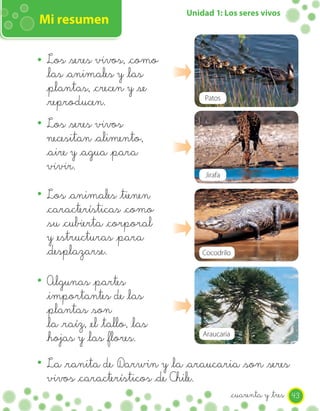 Unidad 1: Los seres vivos
Mi resumen

 Los _seres vivos, _como
 _las _animales y _las
 _plantas, _crecen y _se
 _reproducen.                      Patos


 Los _seres vivos
 necesitan _alimento,
 _aire y _agua _para
 vivir.
                                    Jirafa

 Los _animales _tienen
 _características _como
 _su _cubierta _corporal
 y _estructuras _para
 _desplazarse.                     Cocodrilo


 Algunas _partes
 _importantes de _las
 _plantas _son
 _la _raíz, _el _tallo, _las
 _hojas y _las _flores.            Araucaria



 La _ranita de Darwin y _la _araucaria _son _seres
 vivos _característicos _de Chile.
                                               _cuarenta y _tres 43
 