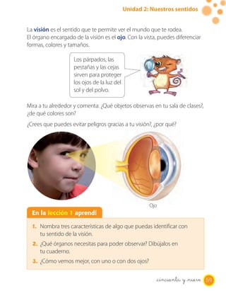 Unidad 2: Nuestros sentidos


La visión es el sentido que te permite ver el mundo que te rodea.
El órgano encargado de la visión es el ojo. Con la vista, puedes diferenciar
formas, colores y tamaños.

                    Los párpados, las
                    pestañas y las cejas
                    sirven para proteger
                    los ojos de la luz del
                    sol y del polvo.

Mira a tu alrededor y comenta: ¿Qué objetos observas en tu sala de clases?,
¿de qué colores son?
¿Crees que puedes evitar peligros gracias a tu visión?, ¿por qué?




                                                      Ojo
  En la lección 1 aprendí

  1. Nombra tres características de algo que puedas identificar con
     tu sentido de la visión.
  2. ¿Qué órganos necesitas para poder observar? Dibújalos en
     tu cuaderno.
  3. ¿Cómo vemos mejor, con uno o con dos ojos?

                                                         _cincuenta y _nueve 59
 