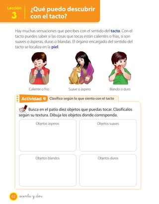 OA 6
Lección       ¿Qué puedo descubrir
  3           con el tacto?

   Hay muchas sensaciones que percibes con el sentido del tacto. Con el
   tacto puedes saber si las cosas que tocas están calientes o frías, si son
   suaves o ásperas, duras o blandas. El órgano encargado del sentido del
   tacto se localiza en la piel.




             Caliente o frío        Suave o áspero           Blando o duro

        Actividad 4
        Actividad 2 Clasifico según lo que siento con el tacto

            Busca en el patio diez objetos que puedas tocar. Clasifícalos
       según su textura. Dibuja los objetos donde corresponda.
                  Objetos ásperos                    Objetos suaves




                 Objetos blandos                      Objetos duros




  62   _sesenta y _dos
 
