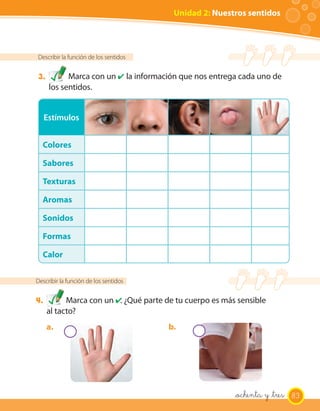 Unidad 2: Nuestros sentidos




Describir la función de los sentidos


3.          Marca con un ✔ la información que nos entrega cada uno de
      los sentidos.


     Estímulos


  Colores

  Sabores

  Texturas

  Aromas

  Sonidos

  Formas

  Calor

Describir la función de los sentidos


4.         Marca con un ✔. ¿Qué parte de tu cuerpo es más sensible
     al tacto?
     a.                                b.




                                                         _ochenta y _tres 83
 