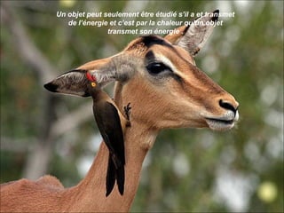 Un objet peut seulement être étudié s’il a et transmet
   de l’énergie et c’est par la chaleur qu’un objet
               transmet son énergie .
 