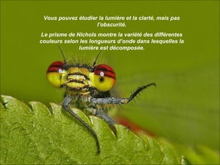 Vous pouvez étudier la lumière et la clarté, mais pas
                    l’obscurité.
Le prisme de Nichols montre la variété des différentes
couleurs selon les longueurs d’onde dans lesquelles la
              lumière est décomposée.
 