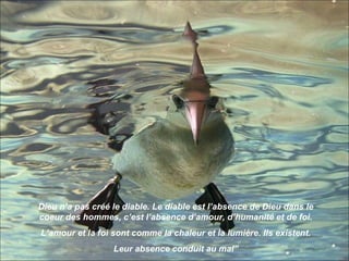 Dieu n’a pas créé le diable. Le diable est l’absence de Dieu dans le
coeur des hommes, c’est l’absence d’amour, d’humanité et de foi.
L’amour et la foi sont comme la chaleur et la lumière. Ils existent.
                  Leur absence conduit au mal”
 