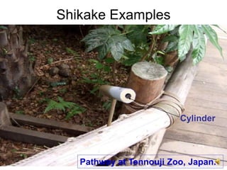 10
Shikake Examples
Cylinder
Pathway at Tennouji Zoo, Japan.
 