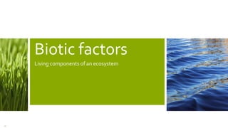 Biotic factors
Living components of an ecosystem
13
 
