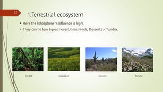 1.Terrestrial ecosystem
23
• Here the lithosphere ‘s influence is high.
• They can be four types; Forest,Grasslands, Desse...