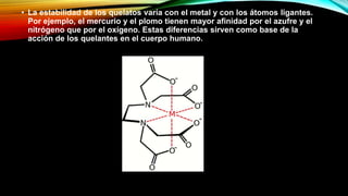 • La estabilidad de los quelatos varía con el metal y con los átomos ligantes.
Por ejemplo, el mercurio y el plomo tienen mayor afinidad por el azufre y el
nitrógeno que por el oxígeno. Estas diferencias sirven como base de la
acción de los quelantes en el cuerpo humano.
 