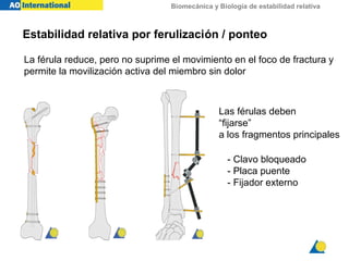 Biomecánica y Biología de estabilidad relativa
La férula reduce, pero no suprime el movimiento en el foco de fractura y
permite la movilización activa del miembro sin dolor
Las férulas deben
“fijarse”
a los fragmentos principales
- Clavo bloqueado
- Placa puente
- Fijador externo
Estabilidad relativa por ferulización / ponteo
 
