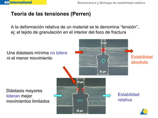 Biomecánica y Biología de estabilidad relativa
Teoría de las tensiones (Perren)
A la deformación relativa de un material se le denomina “tensión”,
ej: el tejido de granulación en el interior del foco de fractura
Una diástasis mínima no tolera
ni el menor movimiento Estabilidad
absoluta
Diástasis mayores
toleran mejor
movimientos limitados
Estabilidad
relativa
 
