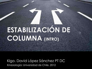 ESTABILIZACIÓN DE
COLUMNA (INTRO)


Klgo. David López Sánchez PT DC
Kinesiología: Universidad de Chile. 2012
 