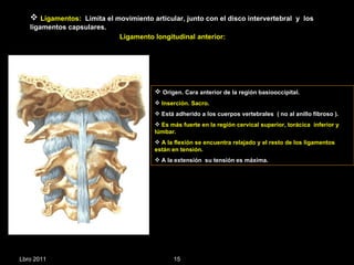 Ligamentos:   Limita el movimiento articular, junto con el disco intervertebral  y  los ligamentos capsulares. Ligamento longitudinal anterior: Origen. Cara anterior de la región basiooccipital. Inserción. Sacro . Está adherido a los cuerpos vertebrales  ( no al anillo fibroso ). Es más fuerte en la región cervical superior, torácica  inferior y lúmbar.  A   la flexión se encuentra relajado y el resto de los ligamentos están en tensión. A la extensión  su tensión es máxima. Lbro 2011 