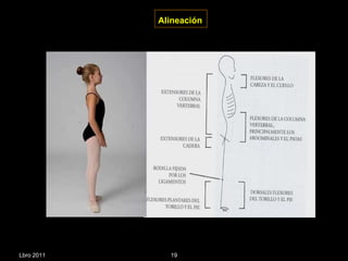 Alineación   Lbro 2011 