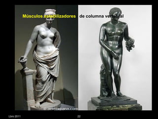 Lbro 2011 Músculos estabilizadores  de columna vertebral  