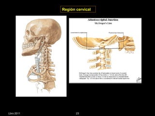 Región cervical   Lbro 2011 