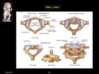 Atlas  y Axis Lbro 2011 