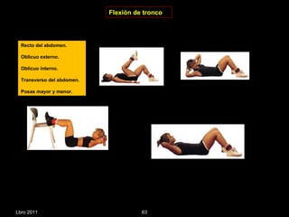 Flexión de tronco Lbro 2011 Recto del abdomen. Oblicuo externo. Oblicuo interno. Transverso del abdomen. Posas mayor y menor. 