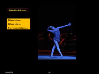 Lbro 2011 Rotación de tronco  Oblicuo interno. Oblicuo externo. Transverso del abdomen. . 