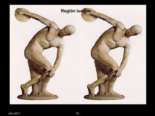 Lbro 2011 Región lumbar  