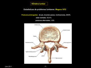 Vértebra lumbar Lbro 2011 Estadísticas de problemas lumbares :  Magora 1972 Posturas prolongadas :  de pie, levantar pesos, inclinaciones, 29.9% estar sentado, 12.5 % posturas alternadas, 1.5% 