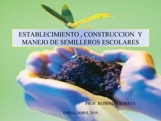 PROF. ROSENDO TORRES ENEAL, ABRIL 2010 ESTABLECIMIENTO , CONSTRUCCION  Y MANEJO DE SEMILLEROS ESCOLARES 