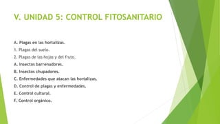 V. UNIDAD 5: CONTROL FITOSANITARIO
A. Plagas en las hortalizas.
1. Plagas del suelo.
2. Plagas de las hojas y del fruto.
A. Insectos barrenadores.
B. Insectos chupadores.
C. Enfermedades que atacan las hortalizas.
D. Control de plagas y enfermedades.
E. Control cultural.
F. Control orgánico.
 