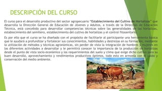 DESCRIPCIÓN DEL CURSO
El curso para el desarrollo productivo del sector agropecuario “Establecimiento del Cultivo de Hortalizas” que
desarrolla la Dirección General de Educación de Jóvenes y Adultos, a través de la Dirección de Educación
Técnica, está concebido para desarrollar competencias técnicas sobre las generalidades de las hortalizas,
establecimiento del semillero, establecimiento del cultivo de hortalizas y el control fitosanitario.
Es por ello que el curso se ha diseñado con el propósito de facilitarle al participante una herramienta básica
que le ayudará a profundizar y fortalecer sus conocimientos, habilidades y destrezas en su formación, mediante
la utilización de métodos y técnicas agronómicas, sin perder de vista la integración de hombres y mujeres en
las diferentes actividades a desarrollar y le permitirá conocer la importancia de la producción de hortalizas
desde el punto de vista socio–económico y los requerimientos del suelo y clima que exige dicho cultivo para su
buen desarrollo, aprovechamiento y rendimientos productivos óptimos, todo esto en armonía con el cuido y
conservación del medio ambiente.
 