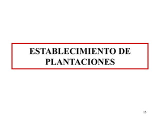 Establecimiento de Plantaciones de Citricos.ppt