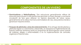 Area Rellena ESTABLECIMIENTO DE VIVEROS, TIPOS DE VIVEROS, MANEJO DE VIVEROS | PPTX