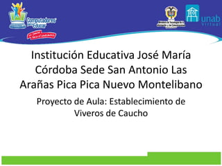 Institución Educativa José María
   Córdoba Sede San Antonio Las
Arañas Pica Pica Nuevo Montelibano
   Proyecto de Aula: Establecimiento de
            Viveros de Caucho
 