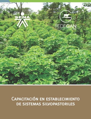 Capacitación en establecimiento
de sistemas silvopastoriles
 