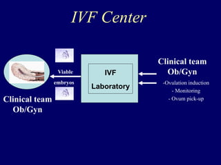 IVF Center
IVF
Laboratory
Viable
embryos
Clinical team
Ob/Gyn
-Ovulation induction
- Monitoring
- Ovum pick-upClinical team
Ob/Gyn
 