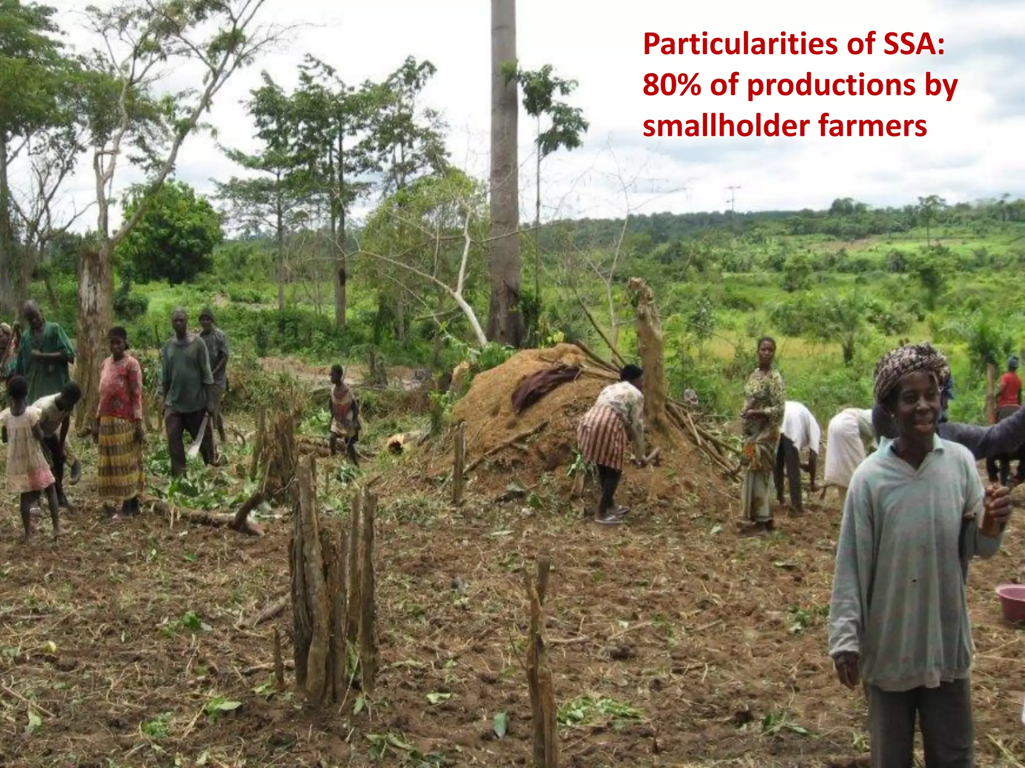 Particularities of SSA:
80% of productions by
smallholder farmers
 
