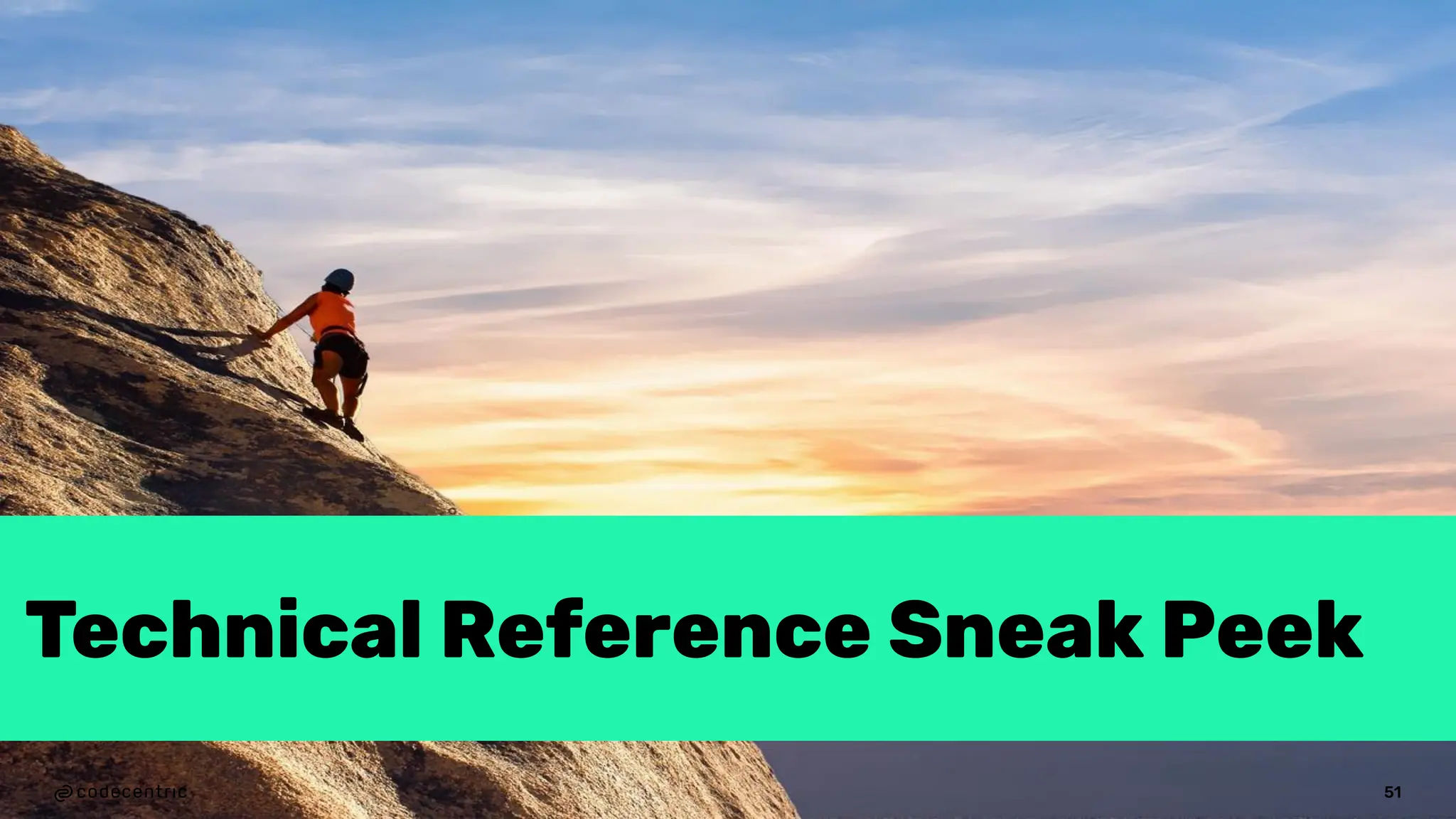 Technical Reference Sneak Peek
51
 