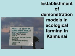 Establishment of demonstration models in ecological farming in Kalmunai 