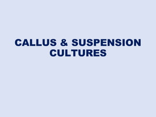 CALLUS & SUSPENSION
CULTURES
 
