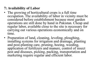 7: Availability of Labor
• The growing of horticultural crops is a full time
occupation. The availability of labor in vicinity must be
considered before establishment because most garden
operations are still done by hand in Pakistan. Cheap and
regular labor, available close to the site is necessary for
carrying out various operations economically and on
time.
• Preparation of land, cleaning, leveling, ploughing,
installing systems for irrigation and drainage, planting
and post-planting care, pruning, hoeing, weeding,
application of fertilizers and manure, control of insect
pest and diseases, picking, packing, transportation and
marketing require regular and efficient labor.
 